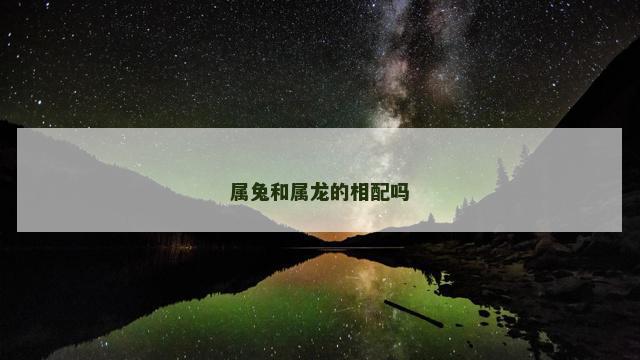 属兔和属龙的相配吗