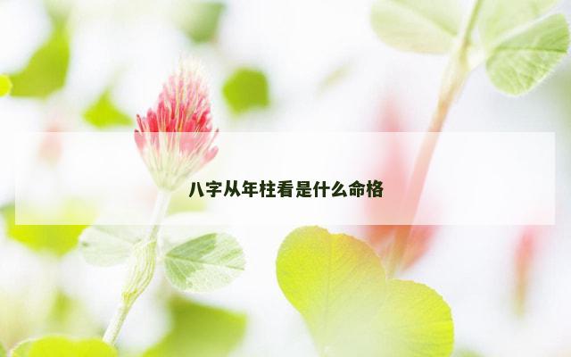八字从年柱看是什么命格