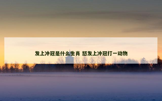 发上冲冠是什么生肖 怒发上冲冠打一动物