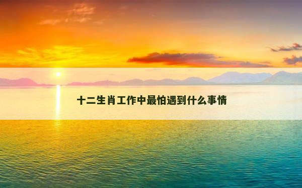 十二生肖工作中最怕遇到什么事情