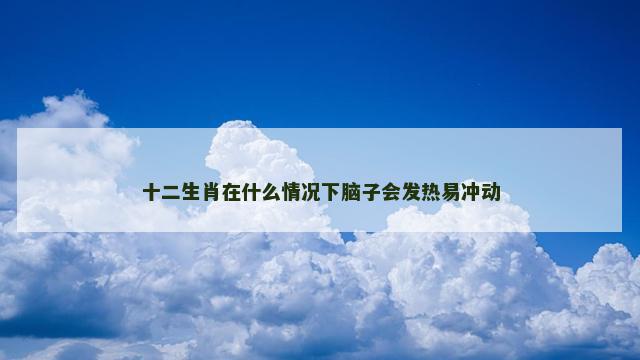 十二生肖在什么情况下脑子会发热易冲动
