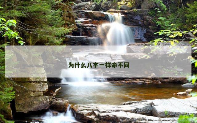 为什么八字一样命不同