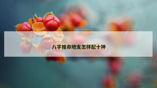 八字推命地支怎样配十神