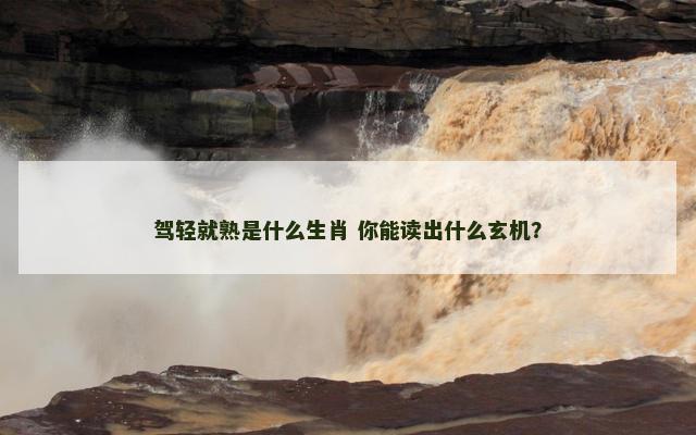 驾轻就熟是什么生肖 你能读出什么玄机？