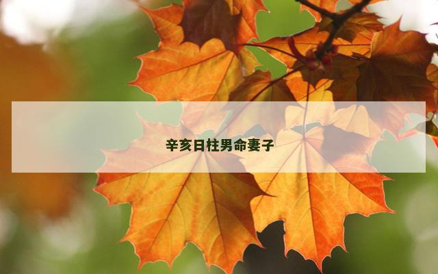 辛亥日柱男命妻子