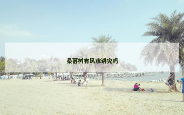 桑葚树有风水讲究吗
