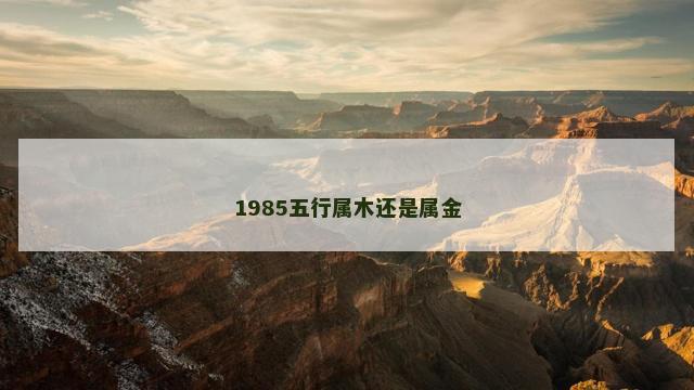 1985五行属木还是属金