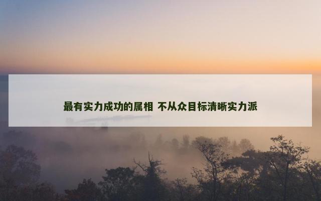 最有实力成功的属相 不从众目标清晰实力派