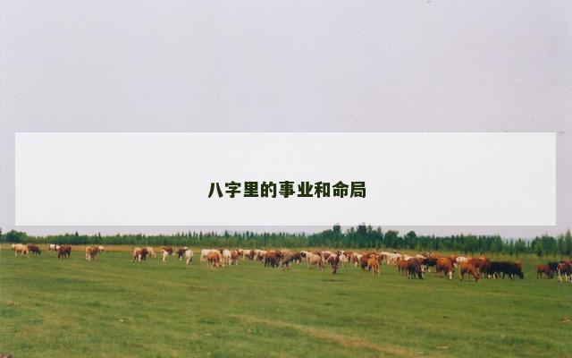 八字里的事业和命局