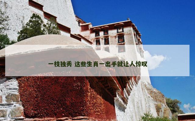 一枝独秀 这些生肖一出手就让人惊叹