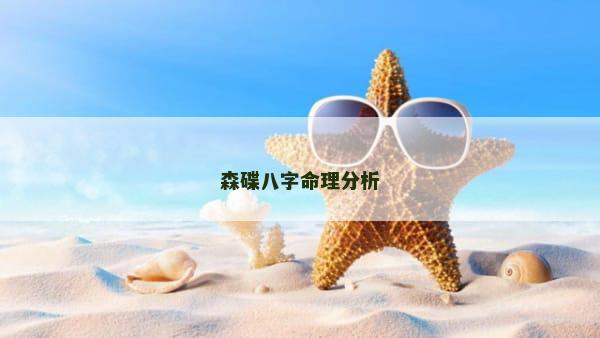 森碟八字命理分析