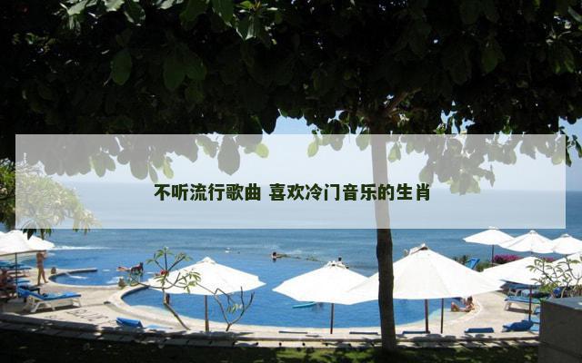 不听流行歌曲 喜欢冷门音乐的生肖