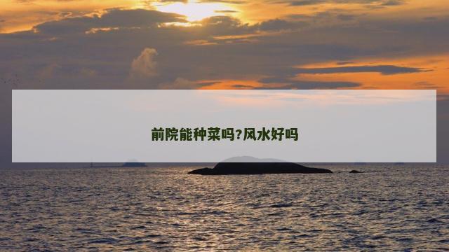 前院能种菜吗?风水好吗