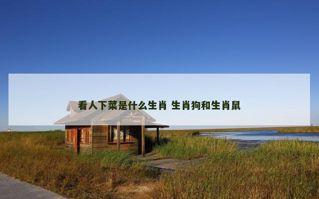 看人下菜是什么生肖 生肖狗和生肖鼠