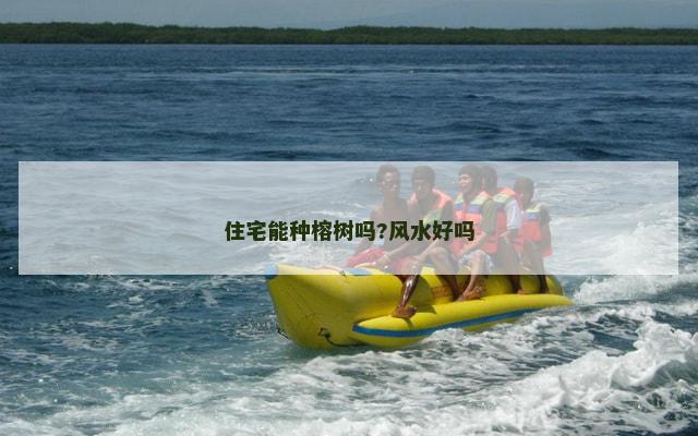 住宅能种榕树吗?风水好吗