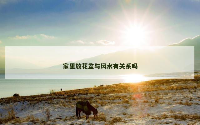 家里放花盆与风水有关系吗