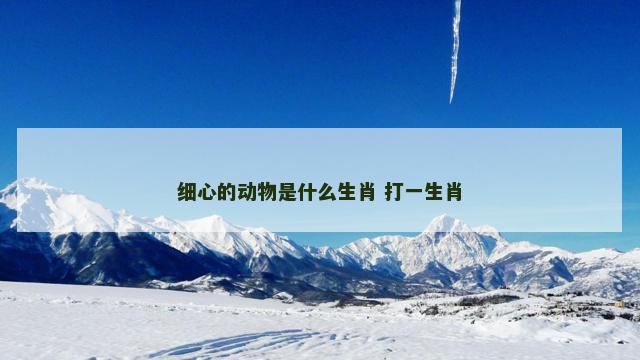 细心的动物是什么生肖 打一生肖