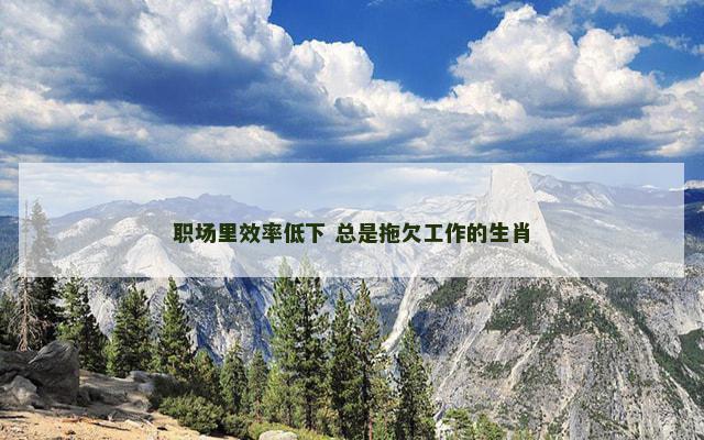 职场里效率低下 总是拖欠工作的生肖