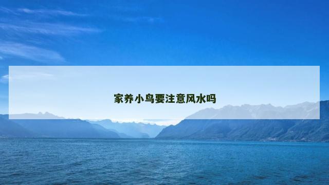 家养小鸟要注意风水吗