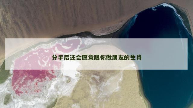 分手后还会愿意跟你做朋友的生肖