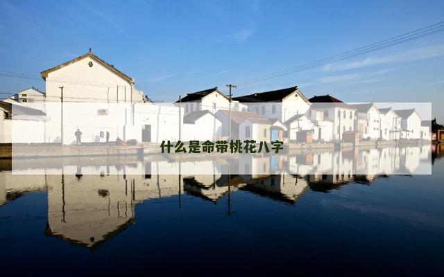 什么是命带桃花八字