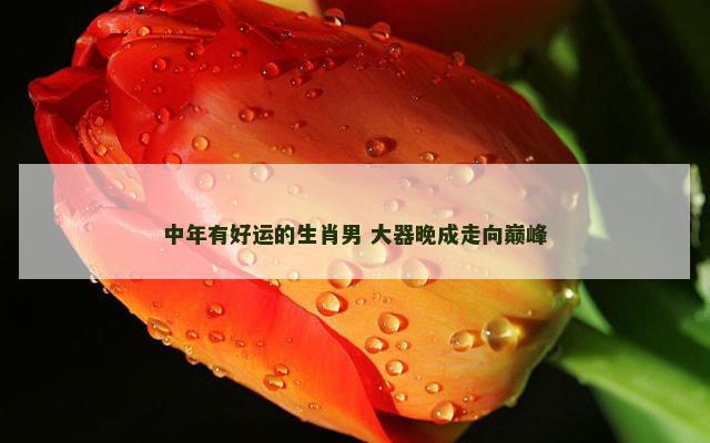 中年有好运的生肖男 大器晚成走向巅峰