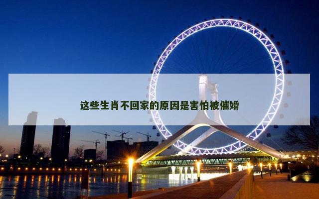 这些生肖不回家的原因是害怕被催婚
