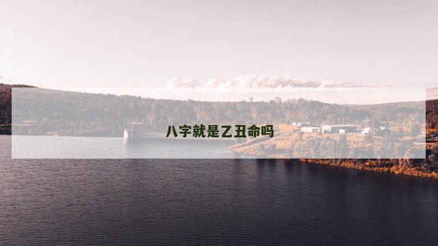 八字就是乙丑命吗