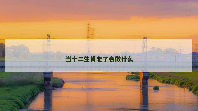 当十二生肖老了会做什么