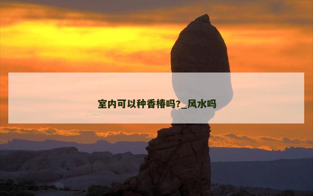 室内可以种香椿吗?_风水吗