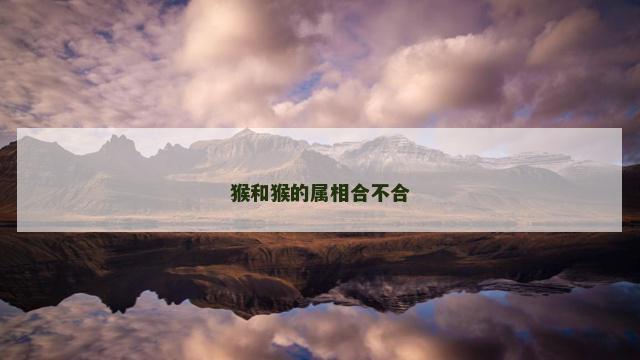 猴和猴的属相合不合
