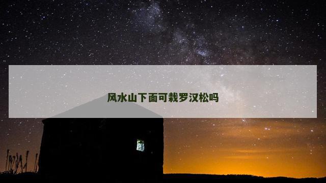 风水山下面可栽罗汉松吗