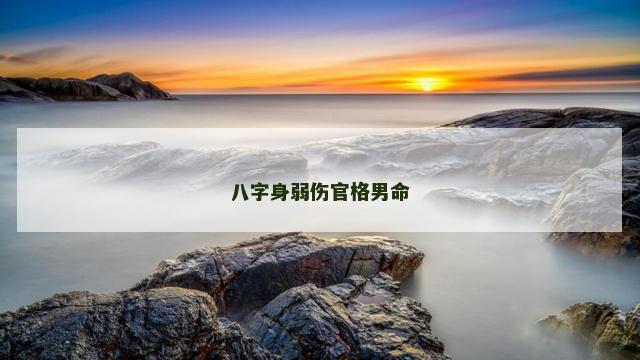 八字身弱伤官格男命