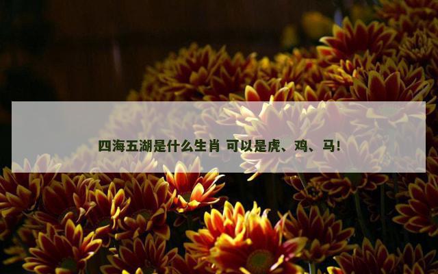 四海五湖是什么生肖 可以是虎、鸡、马！