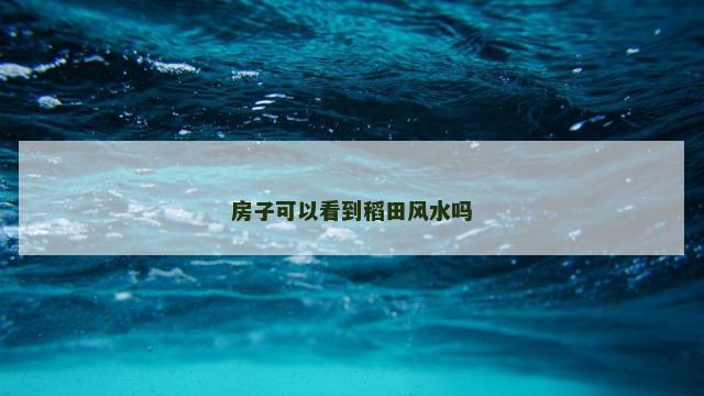 房子可以看到稻田风水吗