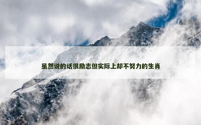 虽然说的话很励志但实际上却不努力的生肖