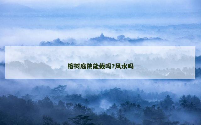 榕树庭院能栽吗?风水吗