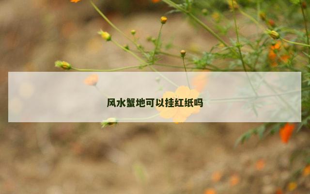 风水蟹地可以挂红纸吗