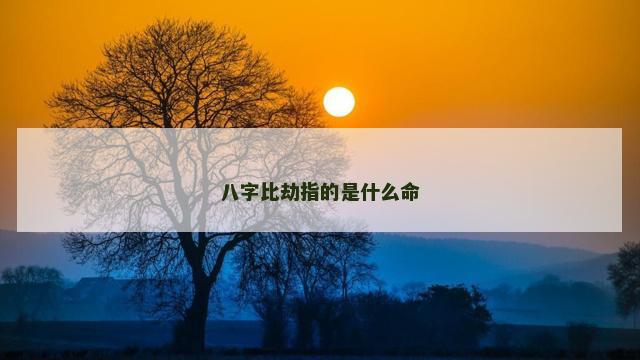 八字比劫指的是什么命