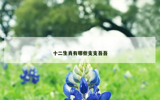 十二生肖有哪些支支吾吾