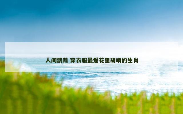 人间鹦鹉 穿衣服最爱花里胡哨的生肖