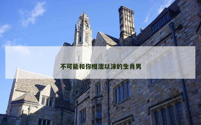 不可能和你相濡以沫的生肖男