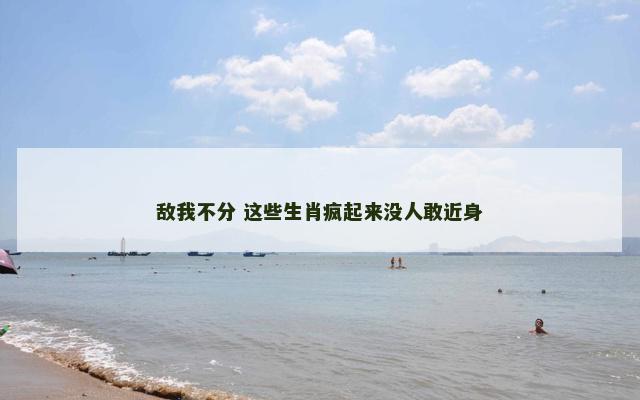 敌我不分 这些生肖疯起来没人敢近身
