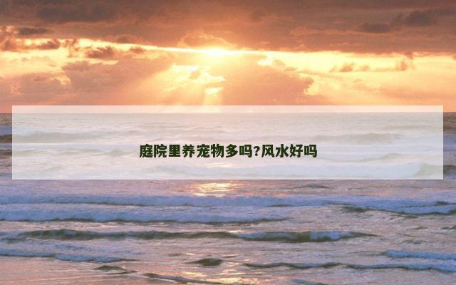庭院里养宠物多吗?风水好吗