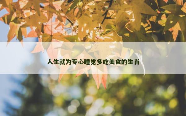 人生就为专心睡觉多吃美食的生肖