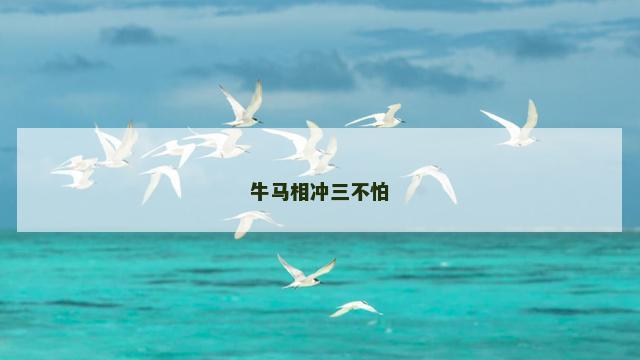 牛马相冲三不怕