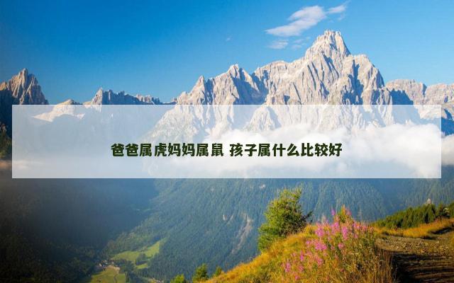 爸爸属虎妈妈属鼠 孩子属什么比较好