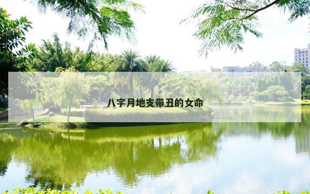 八字月地支带丑的女命