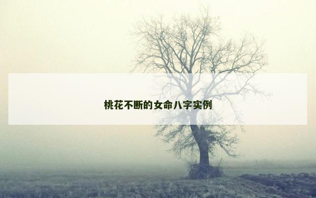 桃花不断的女命八字实例