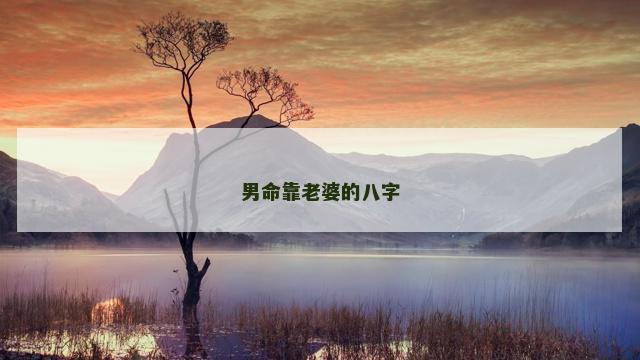 男命靠老婆的八字